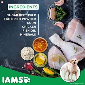 IAMS Proactive Health Adult Labrador Retriever Premium_6