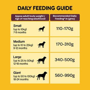 Pedigree Meat & Rice Adult Dry Dog Food-6
