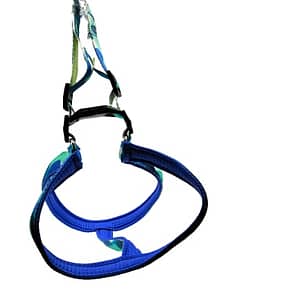 Blue Solid Harness (3)