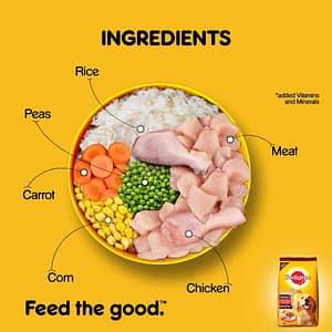 Pedigree Meat & Rice Adult Dry Dog Food-4