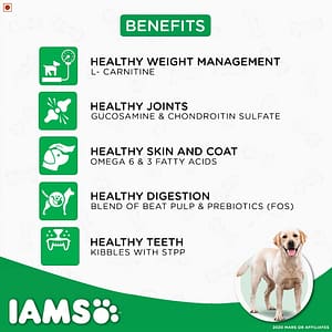 IAMS Proactive Health Adult Labrador Retriever Premium_4