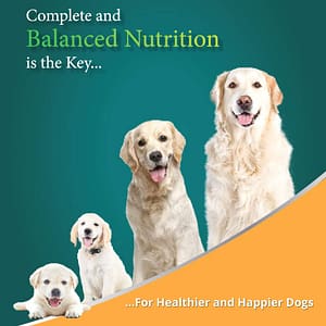 Himalaya Puppy Dog Food – Chicken & Rice (4 months) (3 KG)-6